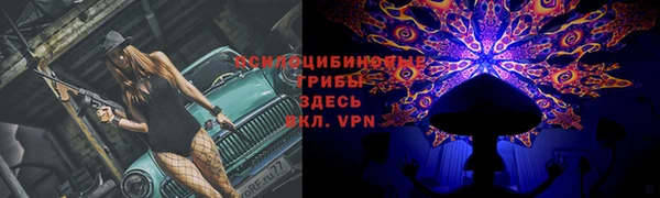 дурь Богородицк